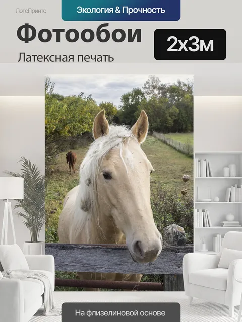 200 × 300 см · Латексная печать