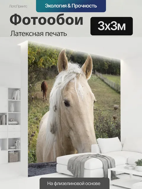 300 × 300 см · Латексная печать