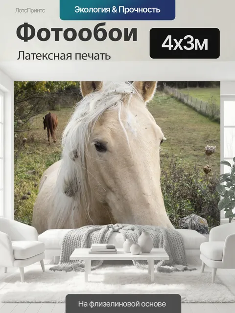 400 × 300 см · Латексная печать