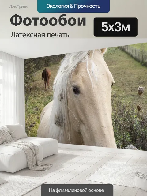 500 × 300 см · Латексная печать