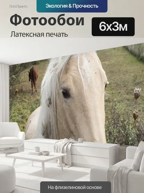 600 × 300 см · Латексная печать
