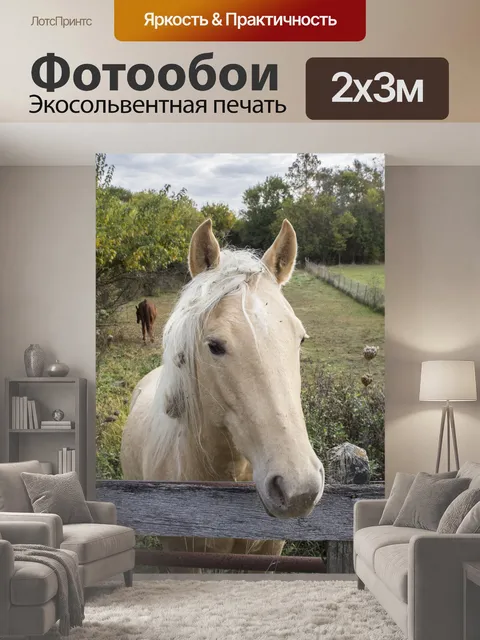 200 × 300 см · Экосольвентная печать