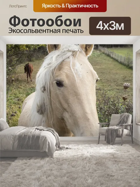 400 × 300 см · Экосольвентная печать