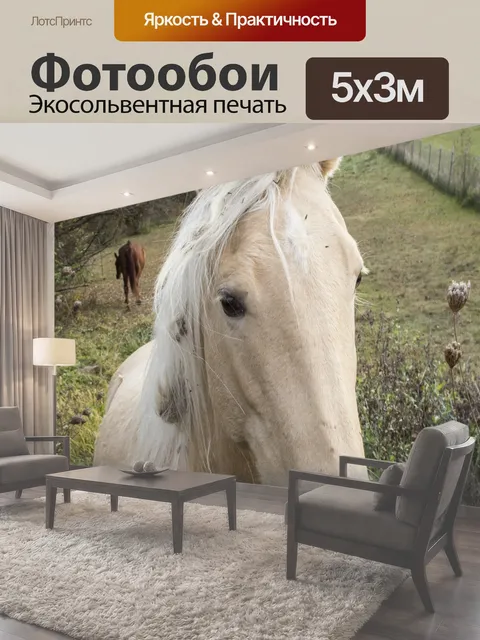 500 × 300 см · Экосольвентная печать