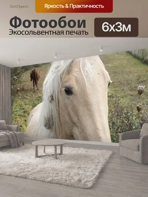 600 × 300 см · Экосольвентная печать