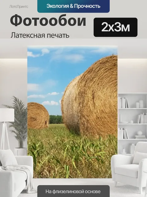 200 × 300 см · Латексная печать