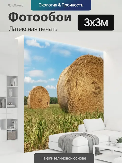 300 × 300 см · Латексная печать