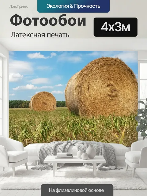 400 × 300 см · Латексная печать