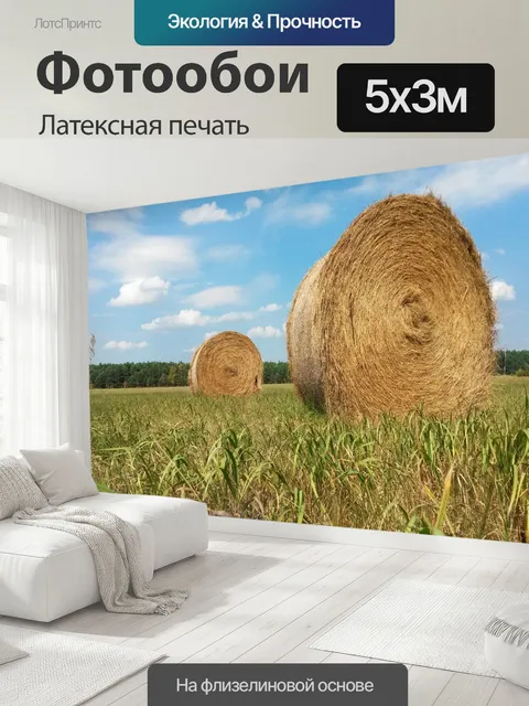 500 × 300 см · Латексная печать