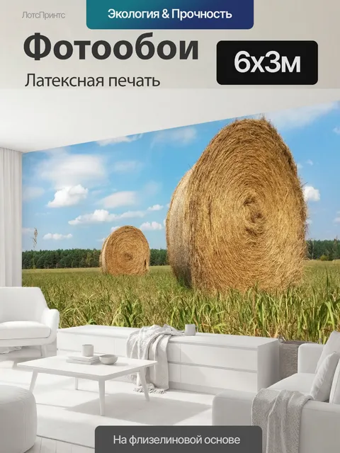 600 × 300 см · Латексная печать