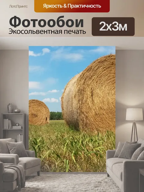200 × 300 см · Экосольвентная печать