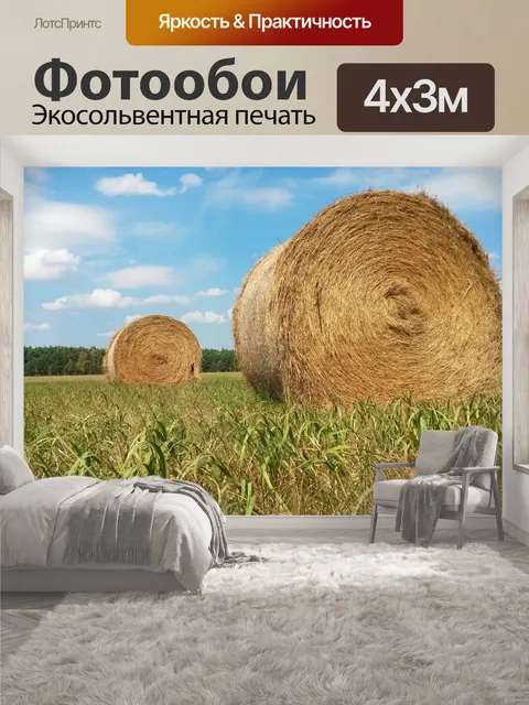 400 × 300 см · Экосольвентная печать