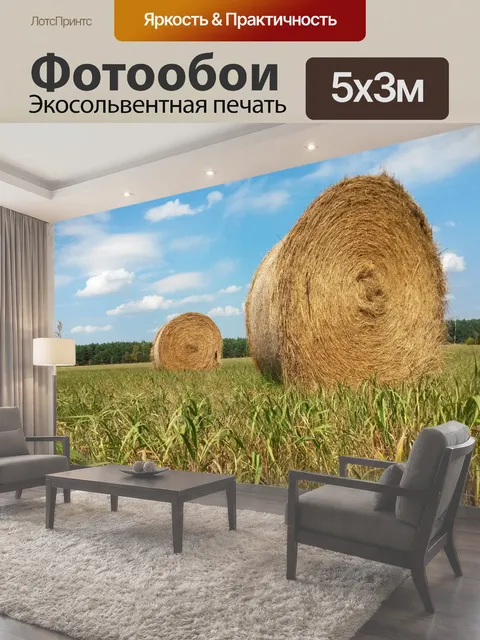 500 × 300 см · Экосольвентная печать