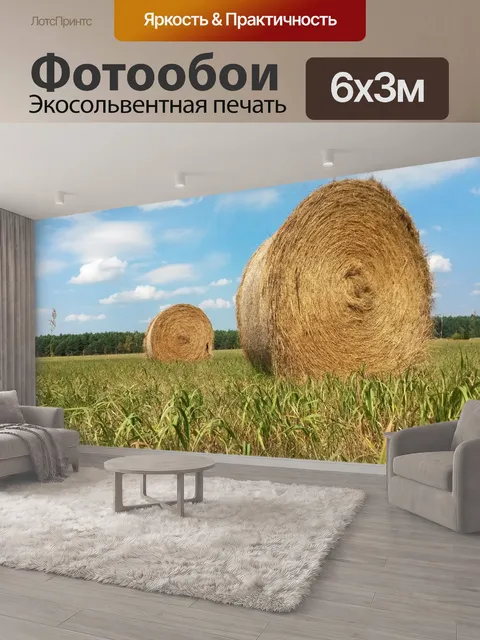 600 × 300 см · Экосольвентная печать