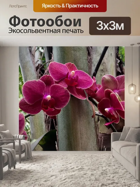 Фотообои Орхидеи, цветы, экзотика