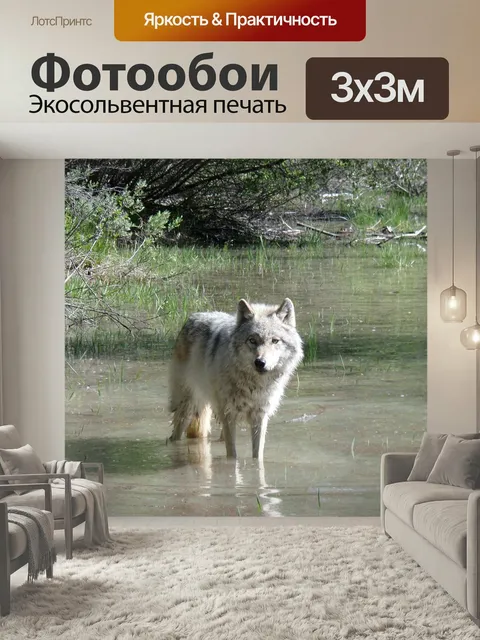 Фотообои Волк, животное, охотник