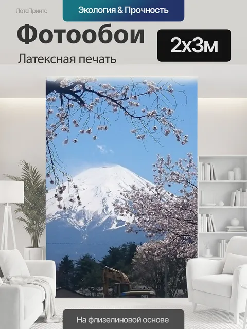 200 × 300 см · Латексная печать