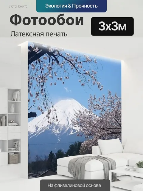 300 × 300 см · Латексная печать