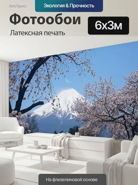 600 × 300 см · Латексная печать
