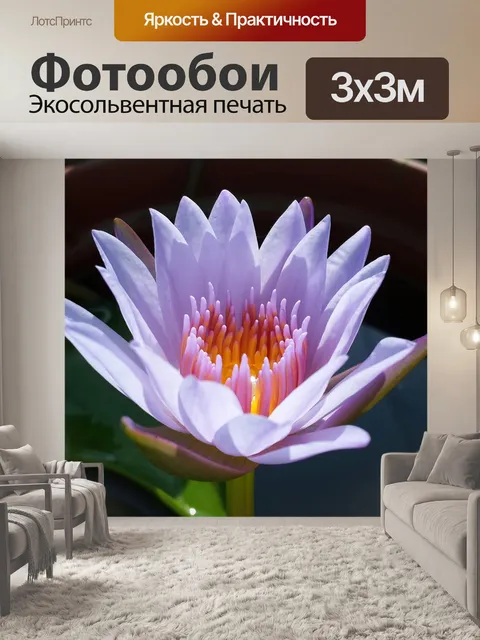 Фотообои Лотос, фиолетовый, завод