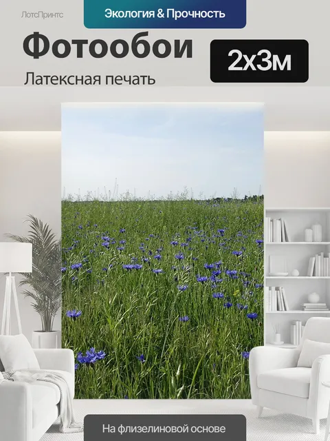 200 × 300 см · Латексная печать