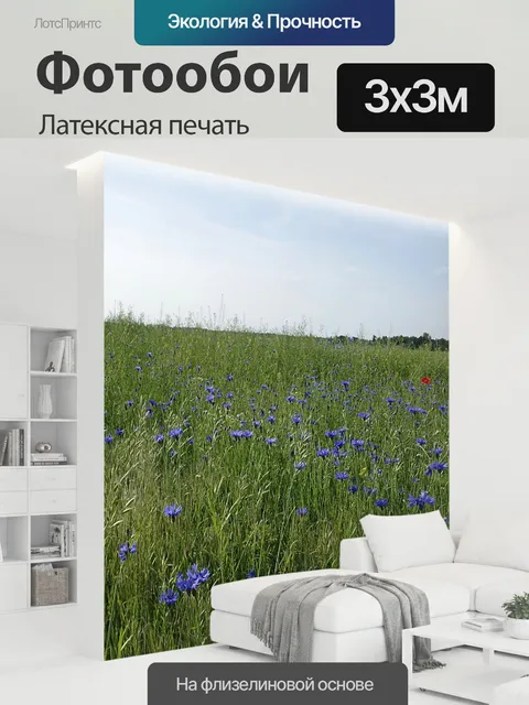 300 × 300 см · Латексная печать
