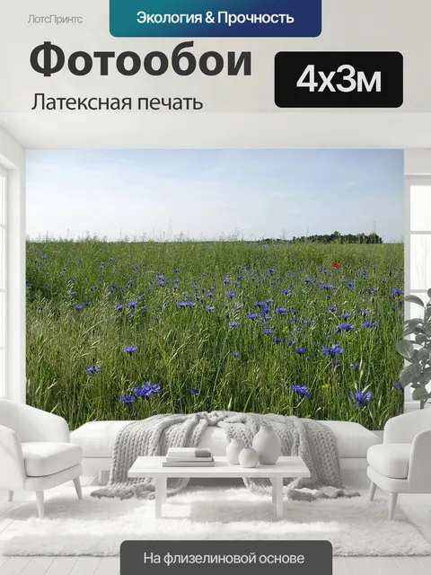 400 × 300 см · Латексная печать