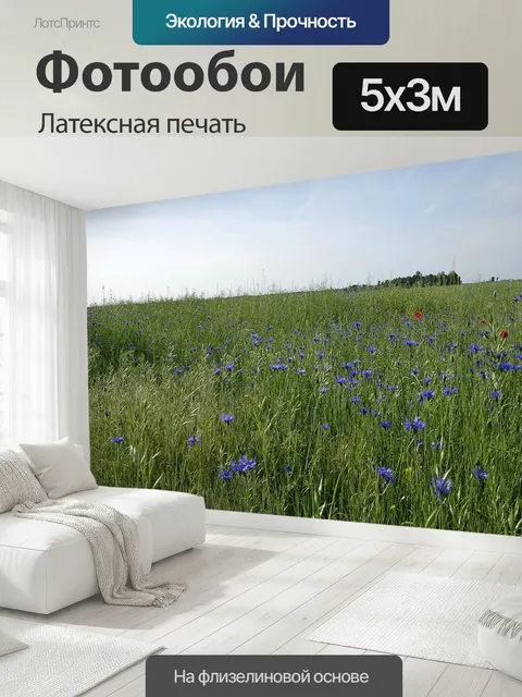 500 × 300 см · Латексная печать