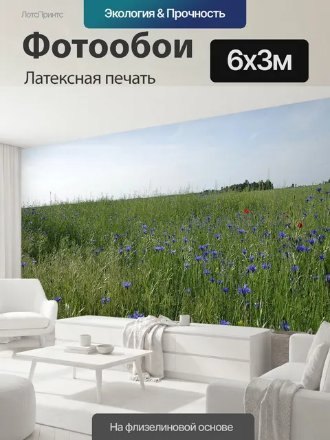 600 × 300 см · Латексная печать