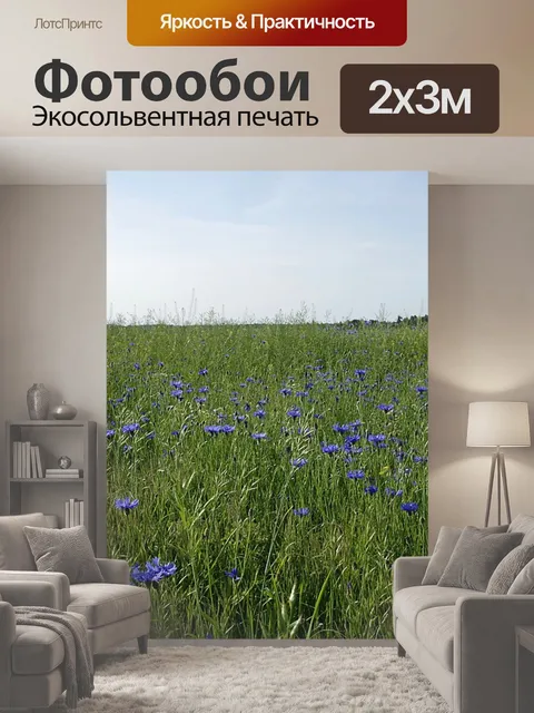200 × 300 см · Экосольвентная печать