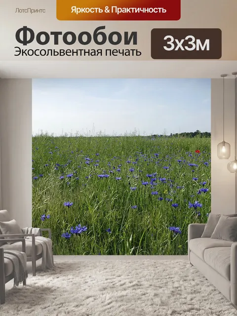Фотообои Васильки, поле, луг