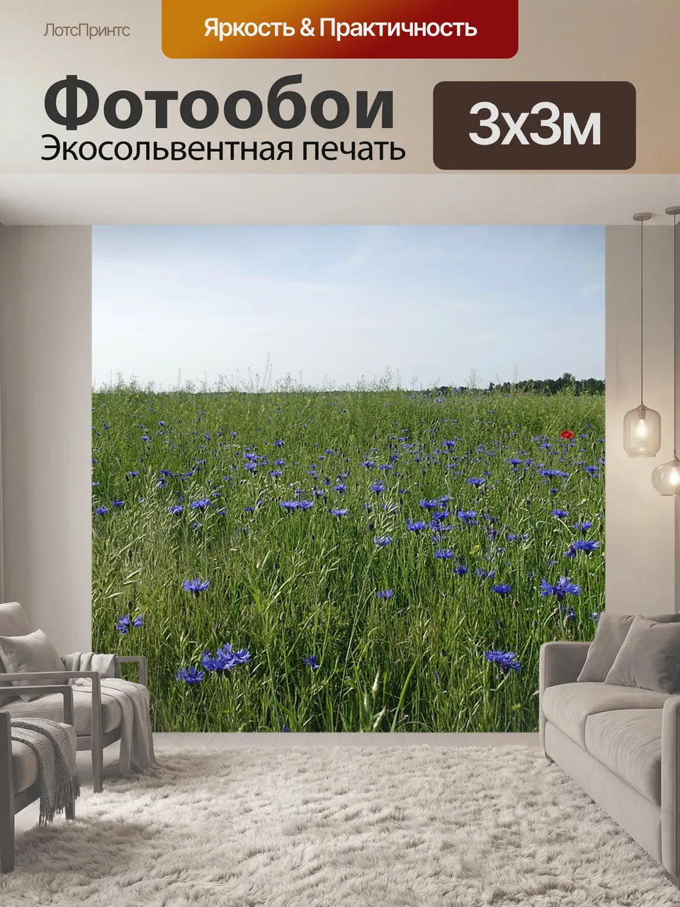 Фотообои Васильки, поле, луг