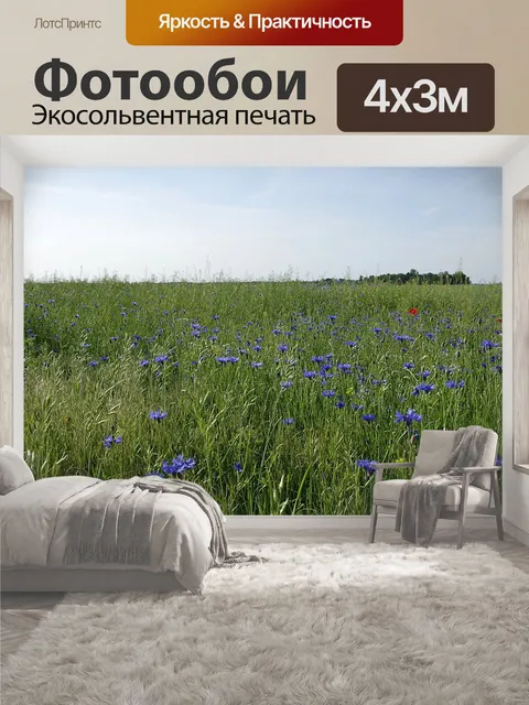 400 × 300 см · Экосольвентная печать