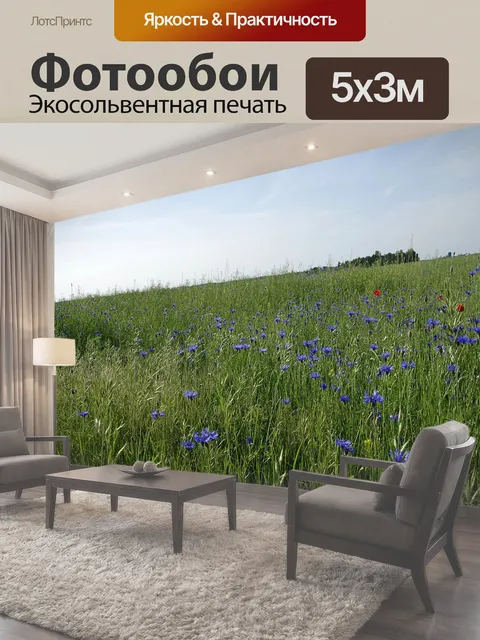 500 × 300 см · Экосольвентная печать