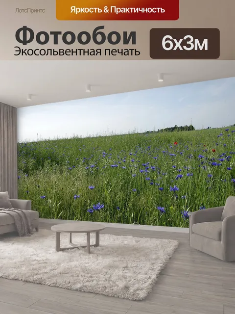 600 × 300 см · Экосольвентная печать