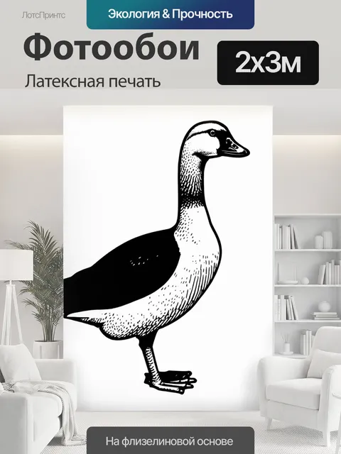 200 × 300 см · Латексная печать