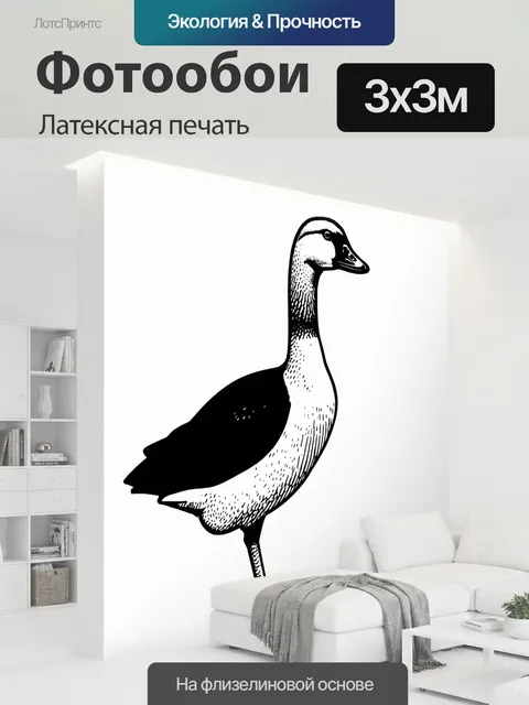 300 × 300 см · Латексная печать