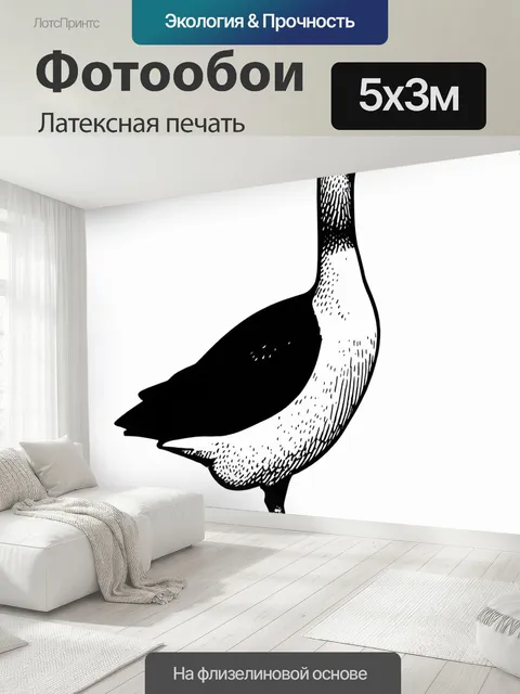 500 × 300 см · Латексная печать