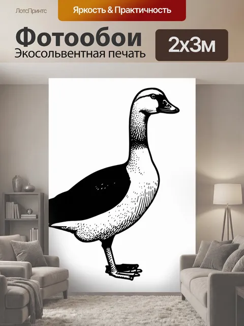 200 × 300 см · Экосольвентная печать