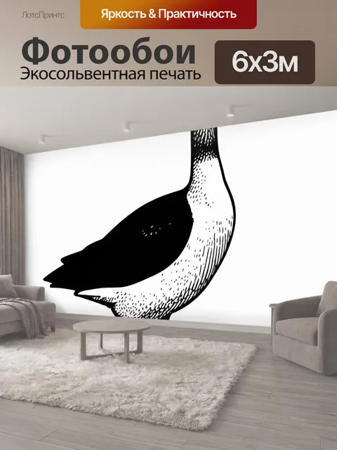 600 × 300 см · Экосольвентная печать