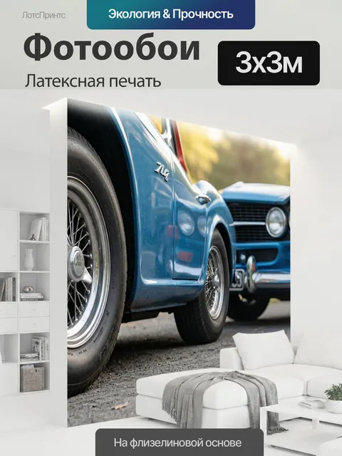 300 × 300 см · Латексная печать
