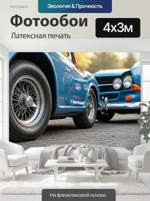 400 × 300 см · Латексная печать