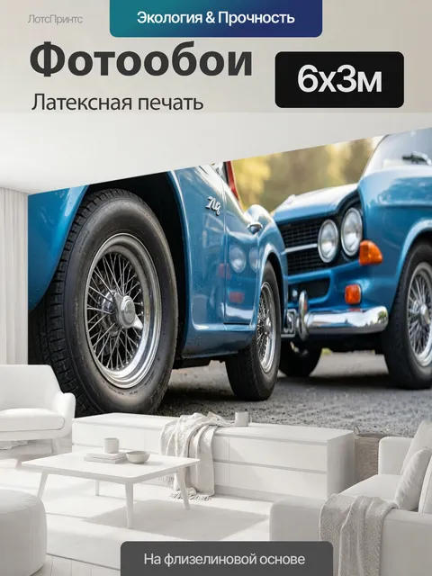 600 × 300 см · Латексная печать