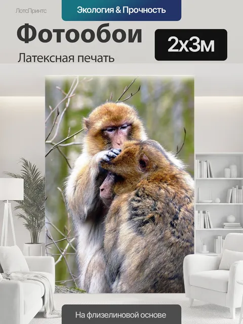 200 × 300 см · Латексная печать
