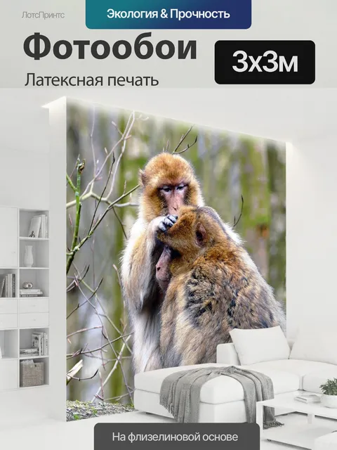 300 × 300 см · Латексная печать