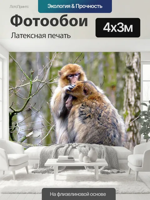 400 × 300 см · Латексная печать
