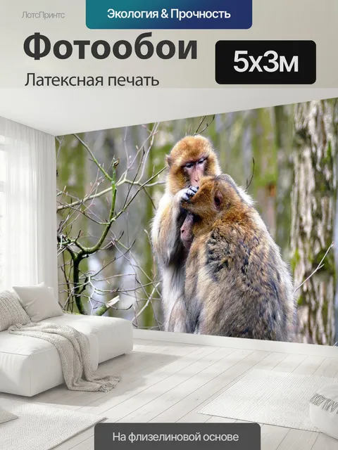 500 × 300 см · Латексная печать