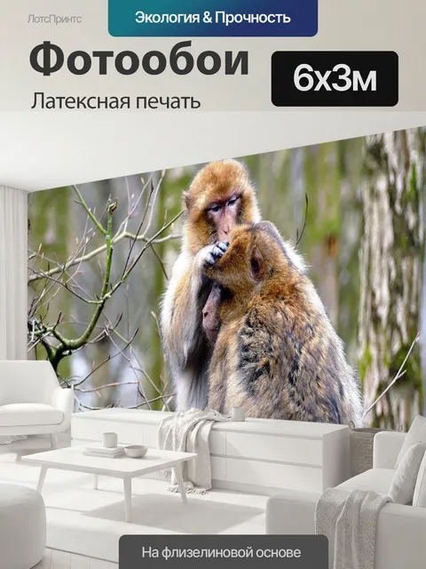 600 × 300 см · Латексная печать