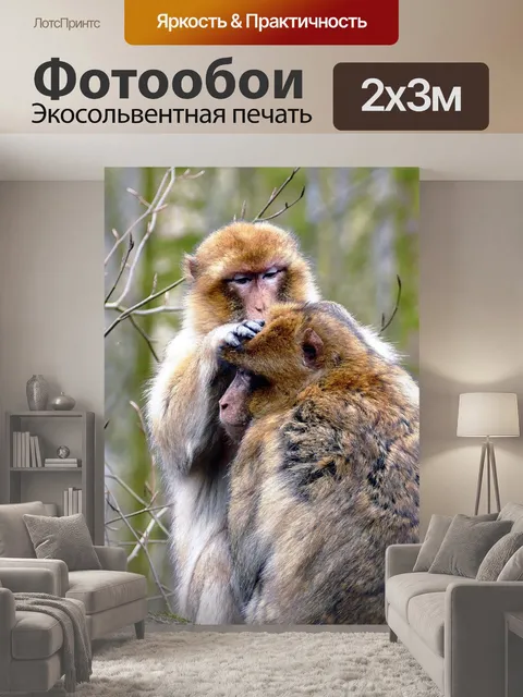 200 × 300 см · Экосольвентная печать