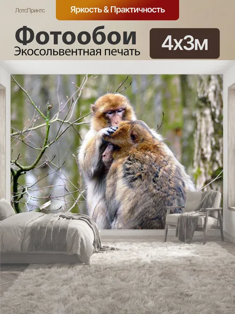 400 × 300 см · Экосольвентная печать